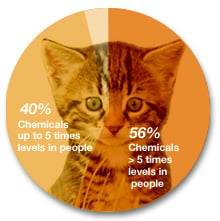 Pie chart showing chemical contamination of pet cats