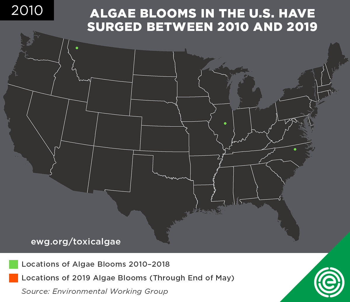 Location of algal blooms from 2010 to May 2019